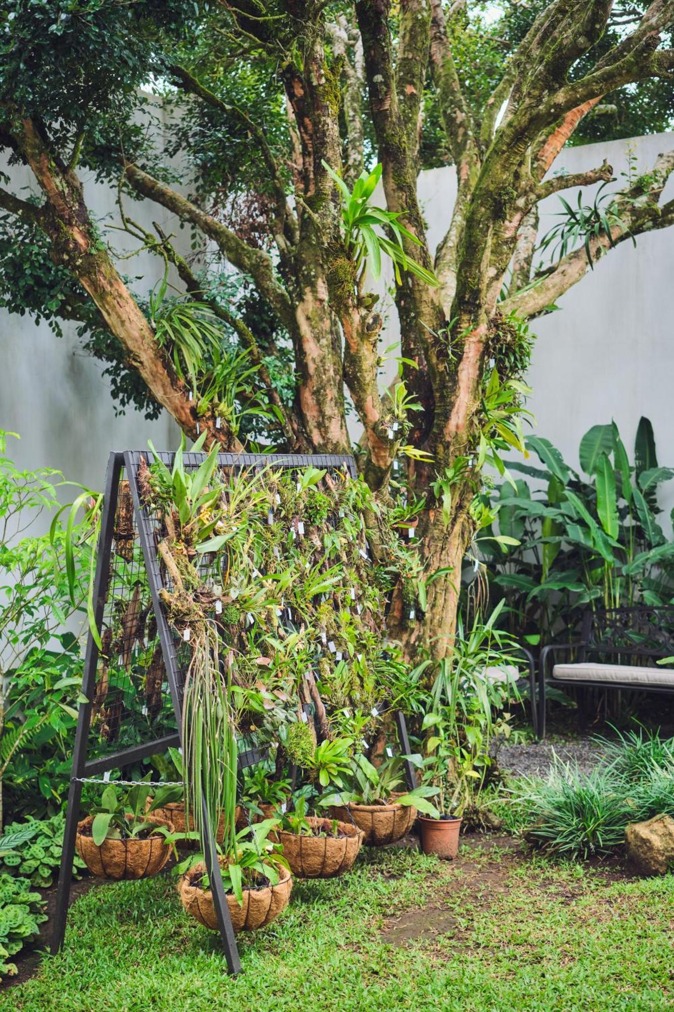 Ocotea Boutique Hotel Monteverde ภายนอก รูปภาพ