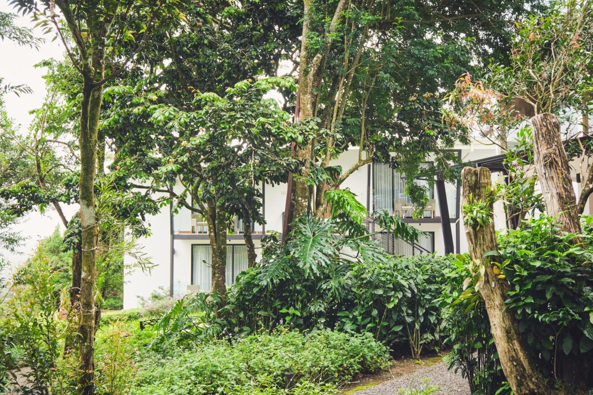Ocotea Boutique Hotel Monteverde ภายนอก รูปภาพ